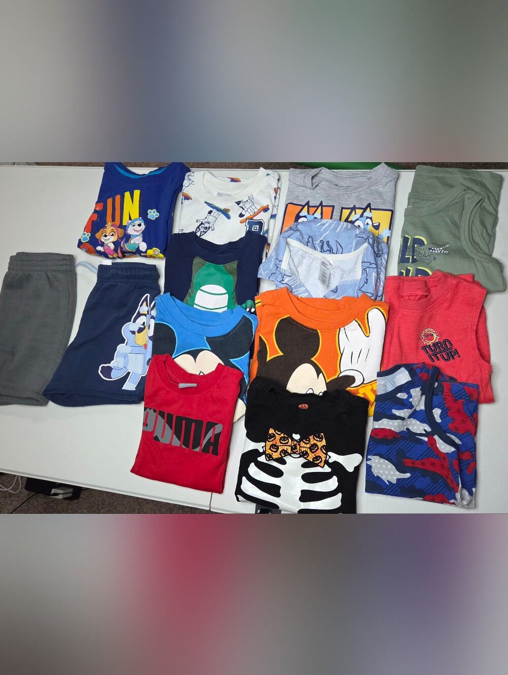 Toddler Boys Size 3T Character Clothing Lot 14pc Bluey Mickey Paw Patrol Puma